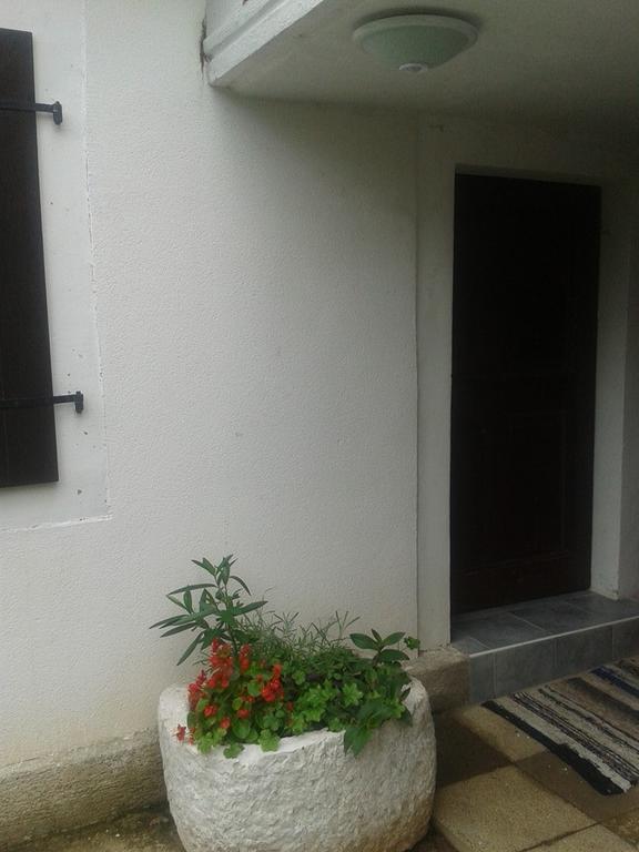 Apartment Kalikut Beli Værelse billede